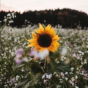 Meet your Posher, Chloe